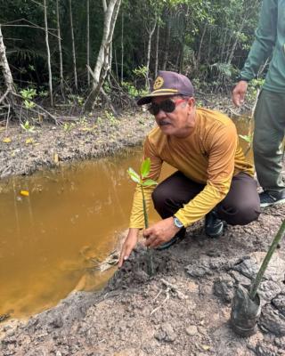 Menanam Mangrove, Menjaga Alam dan Mendorong Potensi Wisata Alam Kabupaten Bengkalis Seta Menjunjung