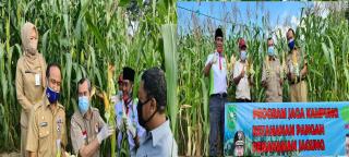 Gubri Panen Jagung di RA Kopi Aren, Ajak Masyarakat Manfaatkan Lahan Terlantar