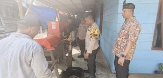 POLSEK PERHENTIAN RAJA HADIR SAAT PEMIPILAN JAGUNG POKTAN BERKARYA DESA PANTAI RAJA TARGETKAN 2 TON 
