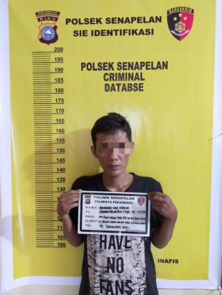 Polsek Senapelan Tangkap Seorang Tersangka Pengedar Sabu di Kampung Dalam