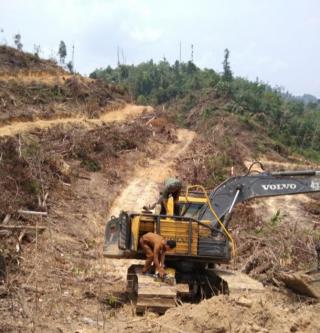 Alat Berat di Hutan Desa Sungai Salak Di Amankan Polhut