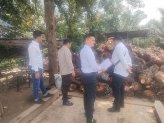 Antisipasi Buah Sawit Curian 5 Peron Yang Berada Didesa Sikakak Dan Desa Tanjung Medan 