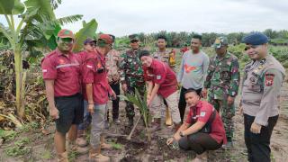 Panen Jagung Perdana dan Penanaman Hortikultura, PT Marita Makmur Jaya & Polsek Rupat