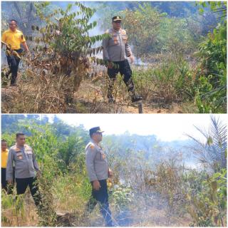 Kapolres Kampar Tinjau Lokasi Karhutla di Perbatasan 50 Kota, Api Berhasil Dipadamkan!