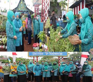 Pj.Ketua TP-PKK Bengkalis Tinjau Kebun Dasawisma