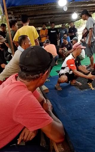 Sabung Ayam dan Judi Dadu di Bayas Jaya Inhil Omset Ratusan Juta,Diminta Pihak kepolisian Tutup Loka