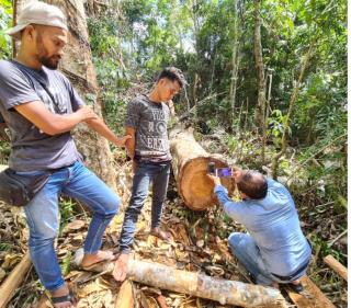 Polres Kampar Tangkap 2 Pelaku Illegal Logging di Kawasan Cagar Alam Bukit Bungkuk Kuok