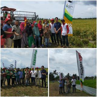 Cv Kuala Raja Sebagai Distributor Pupuk yang di Percaya Pemerintah Riau