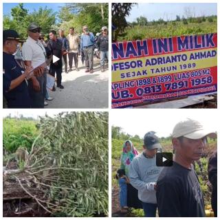 Ratusan Batang Pohon Mangga Didalam Kavlingan GKPN Dirusak OTK di Rimbo Panjang