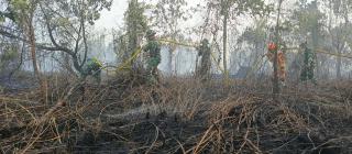 Sinergi TNI-Polri dan Tim Gabungan Bergerak Cepat Atasi Kebakaran Hutan dan Lahan di Rimba Panjang