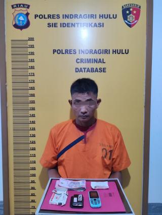 Pengedar Ganja Kering Diringkus Tim Satres Narkoba Polres Inhu