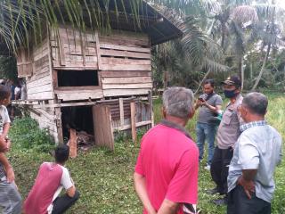 Heboh Warga Desa Pulau Tinggi Temukan Pria Gantung Diri,Polsek Kampar Masih Selidiki Kejadiannya