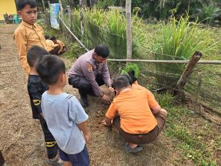 Cinta Alam Sejak Dini — Polsek Tapung Tanam Pohon Bersama Siswa & Warga Desa Petapahan