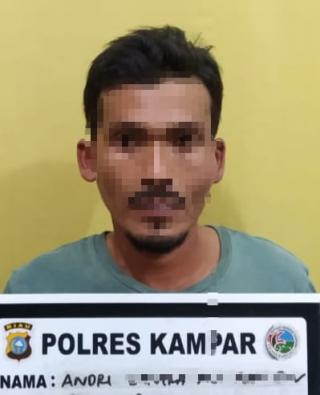 Lagi, Seorang Pengedar Shabu Ditangkap Resnarkoba Polres Kampar di Kel. Pulau Bangkinang