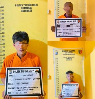 Polsek Tapung Hilir Tangkap Tiga Pelaku Pencurian di Kandang Ayam