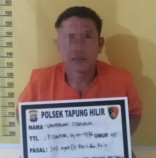 Polsek Tapung Hilir Tangkap Pelaku Judi Togel di Wilayah Desa Kijang Jaya