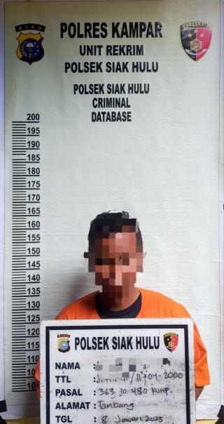 Polsek Siak Hulu Ringkus Pencuri Handphone di Kios Adifa Ponsel, Satu Tersangka Ditangkap!