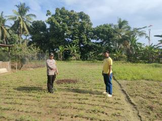 Bhabinkamtibmas Desa Limau Manis Berikan Dukungan dan Apresiasi Terhadap Ketahanan Pangan Warga