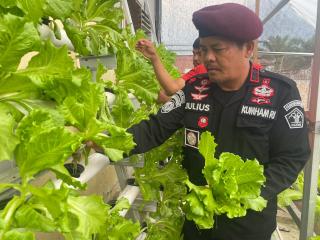 Ka.rutan Rengat Julius Barus SE,MH Bersama Staf Melakukan Kegiatan Panen Sayuran Hidroponik
