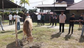 Polres Kampar Penyembelihkan 9 Ekor Sapi Qurban Hasilnya Dibagikan Kepada Masyarakat, Warga Asrama &