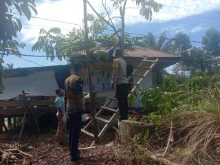 Pria di XIII Koto Kampar Tewas Kesetrum Saat Mengambil Buah Matoa