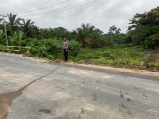 Malang Nasip Sopir Fuso Digilas Mobilnya Sendiri