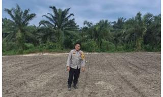 1,5 HA LAHAN JAGUNG PIPIL DIMONITOR BHABINKAMTIBMAS PASTIKAN PERKEMBANGAN OPTIMAL