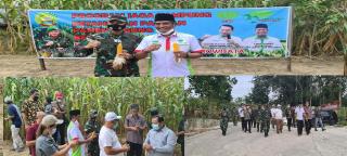 Brigjen TNI M.Syeh Ismed Hadir Panen Jagung di Kawasan RA Kopi Aren