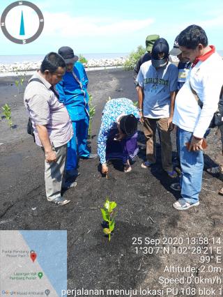 BAPDAS BIDIK SELAMATKAN ABRASI PANTAI PULAU BENGKALIS DENGAN MANGROVE
