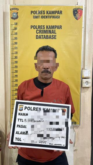 Lagi, Satreskrim Polres Kampar Tangkap Pelaku Pembakaran Lahan di Desa Merangin