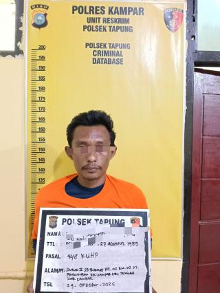 Polsek Tapung Tangkap Pelaku Ancaman Dibunuh Pada Mantan Kekasih