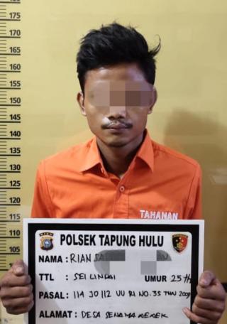 Sempat Diamankan Warga,Pelaku Narkoba ini Diserahkan ke Petugas Kepolisian Polsek Tapung Hulu