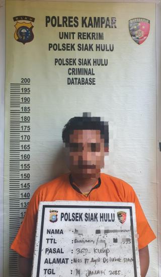 Karyawan PT Agro Abadi di Siak Hulu Diduga Gelapkan Pupuk,  6 Sak Pupuk Zinc Sulphate Disita!