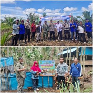 Desa Teluk Bunian Pacu Ketahanan Pangan 2025 Lewat Tiga Program Unggulan BUMDes