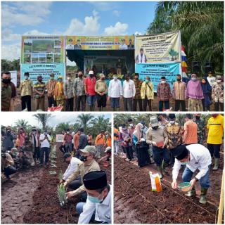 Tanam Perdana Sawit di Bengkalis, Gubernur Riau Didampingi Plh Bupati Bengkalis