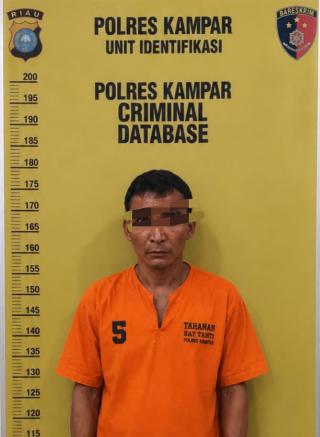 Polres Kampar Tangkap Pelaku Pencabulan, Sebelumnya Korban di Beri Pil Ekstasi